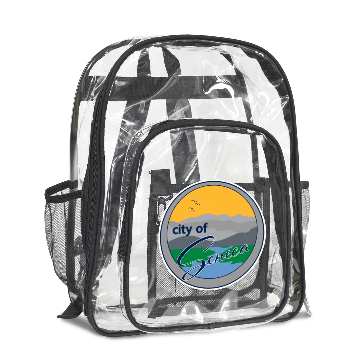 Transparent Backpack