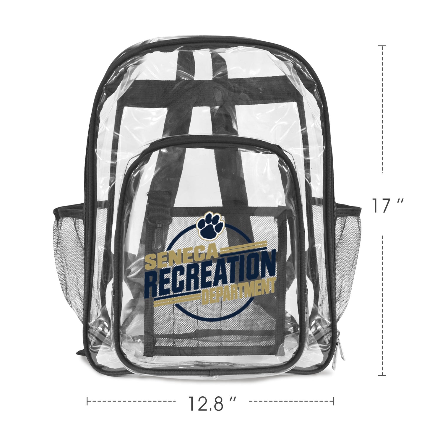 Transparent Backpack