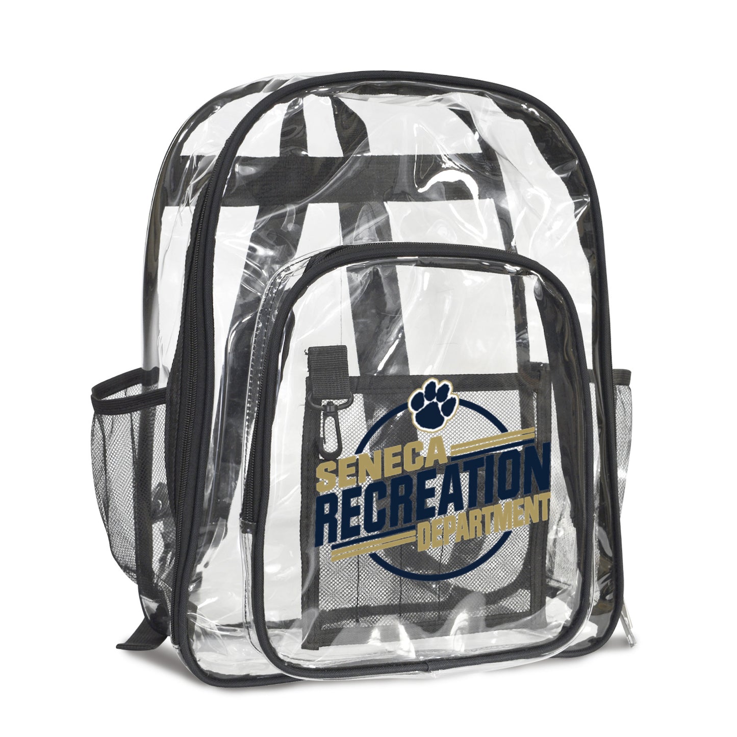 Transparent Backpack